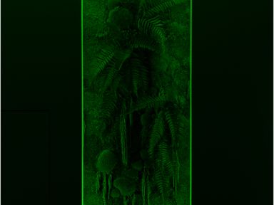 Динамика и контур