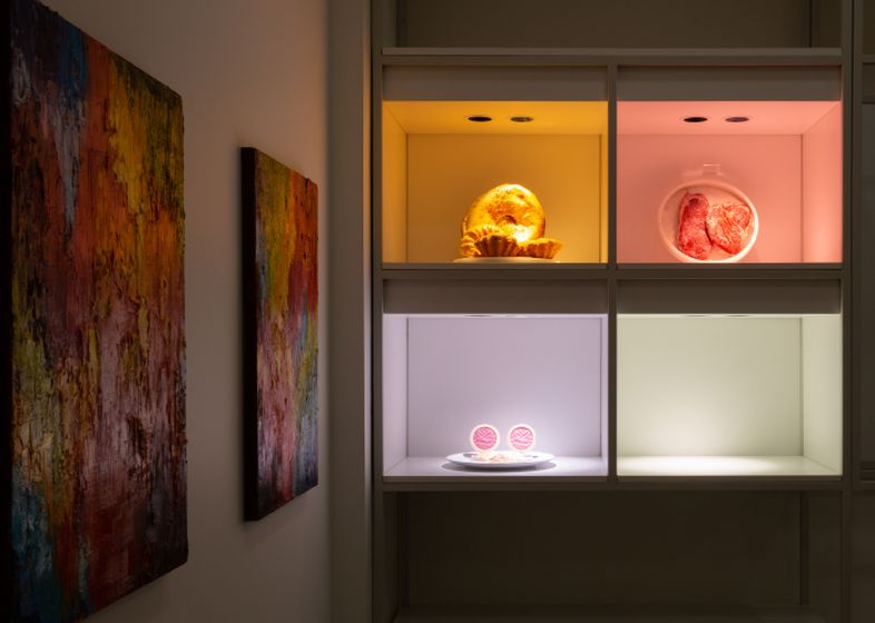 Лаборатория света SWG