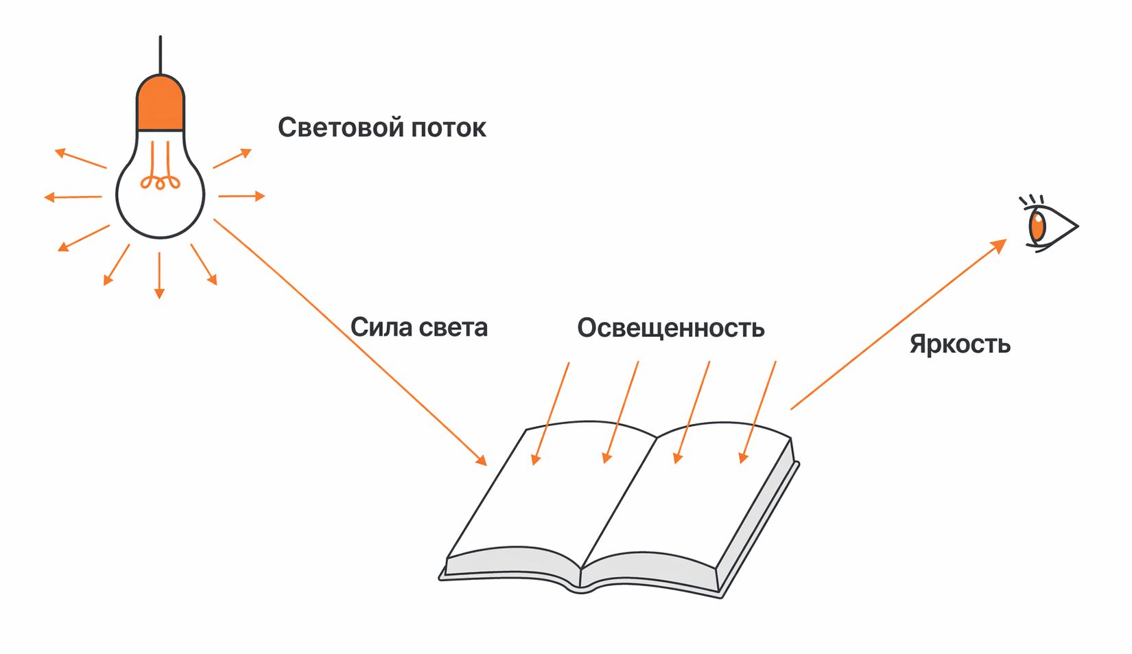 Схема светового потока и освещённости на поверхности книги