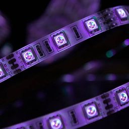 Лента SMD5050 RGB, свечение фиолетовым, крупный план