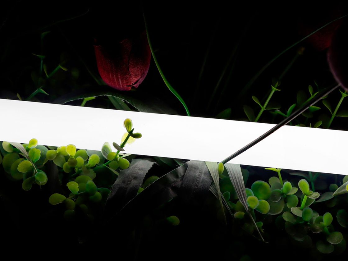 Неоновая лента 360 градусов, свечение нейтральный белый