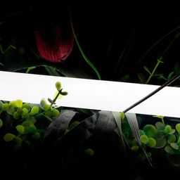 Нейтральный белый 24В IP66 16Вт/м 360 LED/м SMD2835 360° D25 SWG-2360-24-NW-66