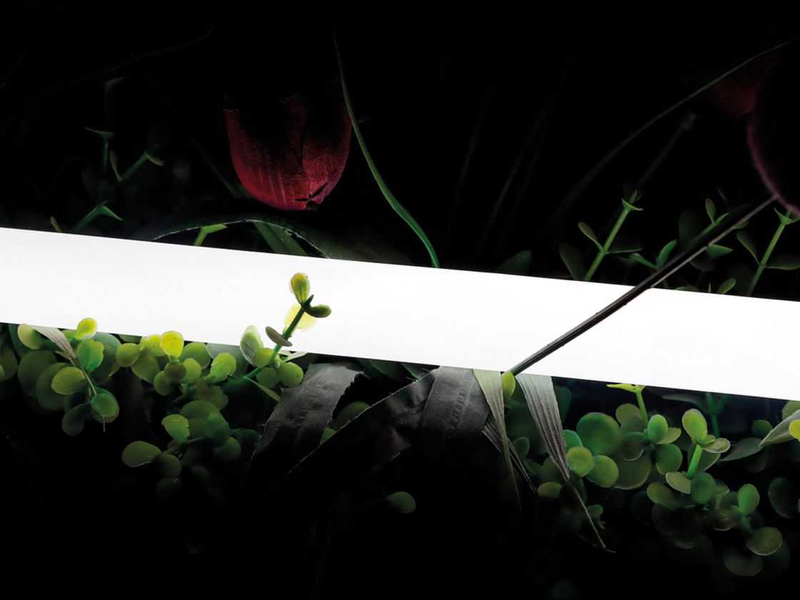 Неоновая лента 360° тёплый белый свет, крупный план