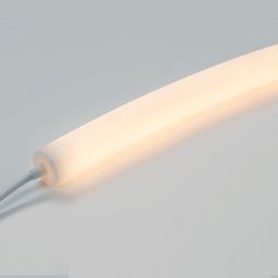 Конец неоновой ленты D22 с кабелем питания