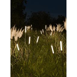 Светильники Камыш в траве, ночная подсветка участка