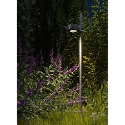 Опора со светильником в ландшафте, подсветка растений ночью