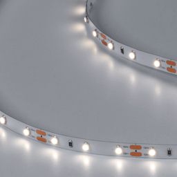 Лента светодиодная DSG 3528 DW 60L-V12-IP33, 4000 K, 300 LED, 4,8 W/m, LUX