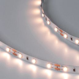 Лента светодиодная DSG 3528 WW 60L-V12-IP33, 2700 K, 300 LED, 4,8 W/m, LUX