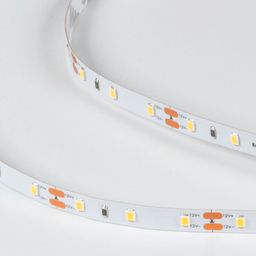 Светодиодная лента 12В SMD 2835, крупный план