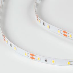 Светодиодная лента LUX 12В нейтральное свечение, DSG260-12-NW-33