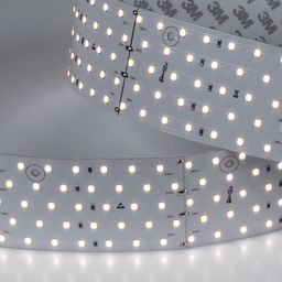 Лента светодиодная 5x DSG 2835 DW 350L-V24-IP33, 4000 K, 875 LED, 31W/m, 2500*58*2 mm, LUX