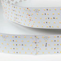 Светодиодная лента 31Вт 24В теплое свечение, DSG2350-24-WW-33