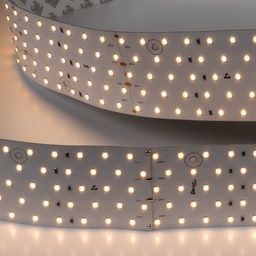 Светодиодная лента 31Вт 24В теплое свечение, DSG2350-24-WW-33