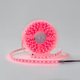 Лента светодиодная DSG 5050 RGB 60L-12V-IP65, RGB, 300 LED, 14.4W/m, LUX