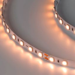 Светодиодная лента 14.4Вт 24В IP33 теплое свечение, DSG560-24-WW-33