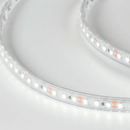 Светодиодная лента 12V холодное белое свечение, DSG3120-12-W-65