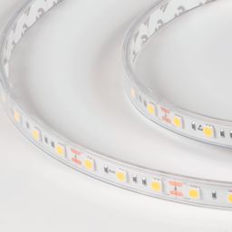 Светодиодная лента LUX, 5050, 60 LED/м, 14,4 Вт/м, 12В, IP65, Нейтральный белый (4000K), DSG560-12-NW-65
