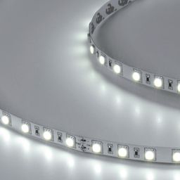 Светодиодная лента  5050, 60 LED/м, 14,4 Вт/м, 24В , IP20, Цвет: Холодный белый, SWG560-24-14.4-W-М