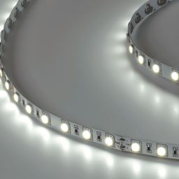 Светодиодная лента  5050, 60 LED/м, 14,4 Вт/м, 24В , IP20, Цвет: Холодный белый, SWG560-24-14.4-W-М