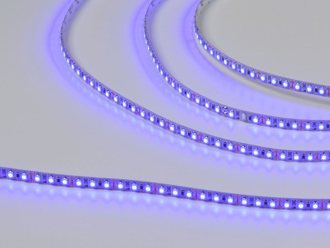 Светодиодная лента SWG, синее свечение, крупный план