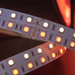 Лента SMD5050 RGBW в работе, теплые оттенки свечения