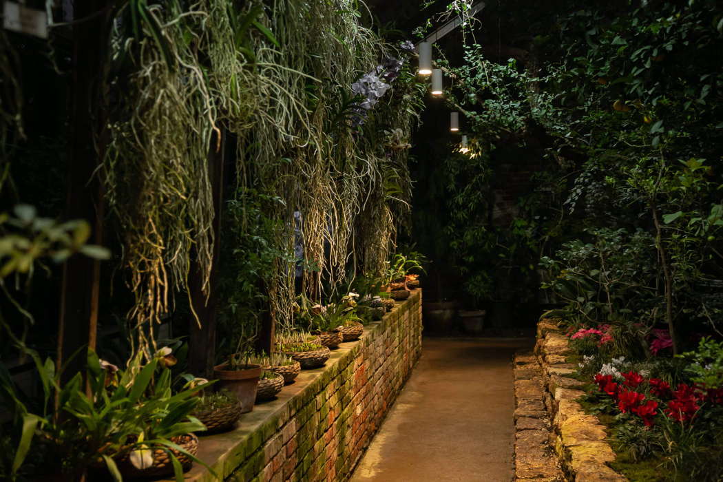 Аптекарский огород МГУ — подсветка пространства