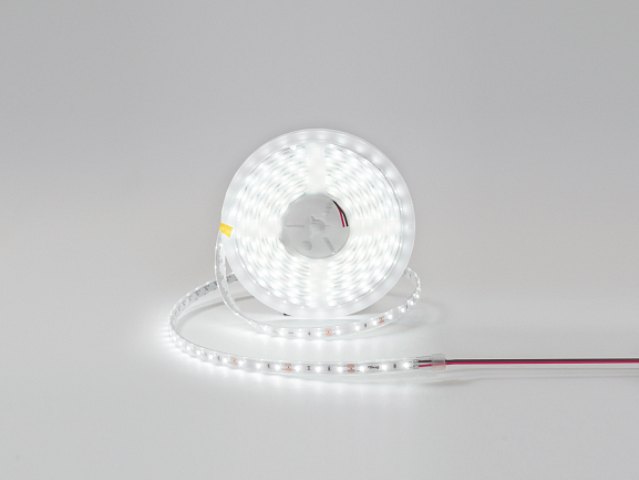Фото Светодиодная лента 12V IP65 холодное свечение, DSG360-12-W-65 от магазина SWGShop.ru