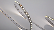 Фото Светодиодная лента SWG PRO 2835, 120 LED/м, 14,4 Вт/м, 24В , IP20, Цвет: Теплый белый + холодный белый, SWG2P120-24-14.4-WWW-20 от магазина SWGShop.ru