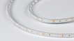 Фото Светодиодная лента DesignLed DSG2120 14.4 Вт 2700K, DSG2120-24-WW-65 от магазина SWGShop.ru