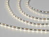 Фото Светодиодная лента 2835, 60 LED/м, 4,8 Вт/м, 12В , IP20, 3M, Цвет: Нейтральный белый, SWG260-12-4.8-NW-M от магазина SWGShop.ru