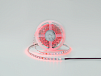 Фото Светодиодная лента LUX RGB, DSG3A60-24-RGB-33 от магазина SWGShop.ru