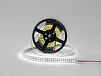 Фото Светодиодная лента 3528, 240 LED/м, 19,2 Вт/м, 24В , IP20, Цвет: Холодный белый, SWG3240-24-19.2-W-M от магазина SWGShop.ru