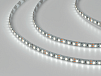 Фото Светодиодная лента 3528, 120 LED/м, 9,6 Вт/м, 12В , IP20, Цвет: Холодный белый, SWG3120-12-9.6-W-M от магазина SWGShop.ru