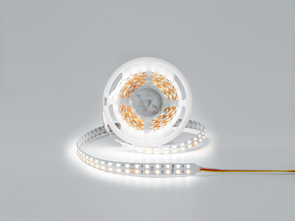 Фото Светодиодная лента IP33 28.8W, DSG5120-24-W+WW-33 от магазина SWGShop.ru