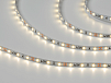 Фото Светодиодная лента  2835, 60 LED/м, 6,3 Вт/м, 12В , IP20, Цвет: Нейтральный белый, SWG260-12-6.3-NW-M от магазина SWGShop.ru